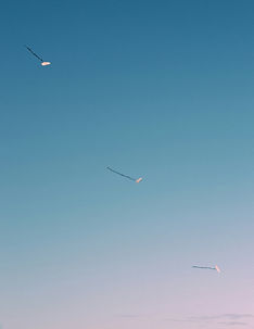 Image by Alef Morais