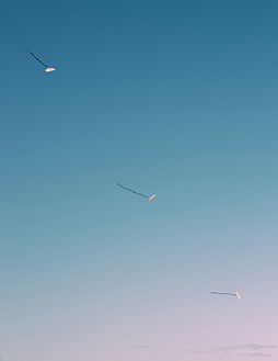 Image by Alef Morais