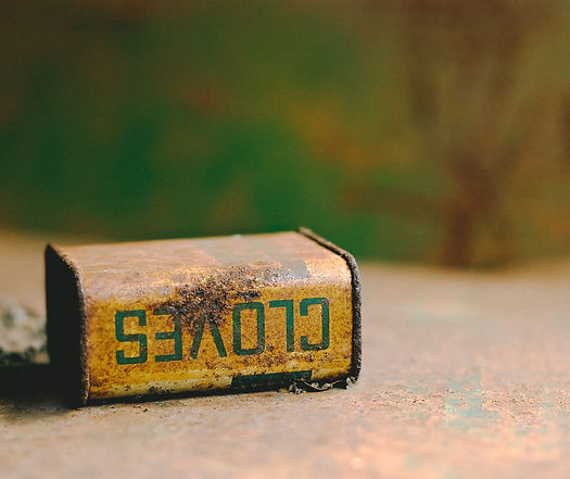 Image by Gareth Hubbard