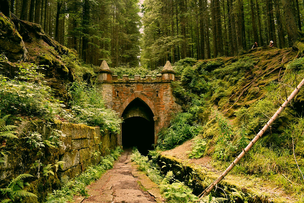 tunnel in a jungle