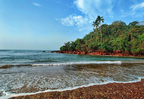 Image by Manas Nandurkar