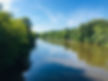 Le canal de la mangrove Martinique