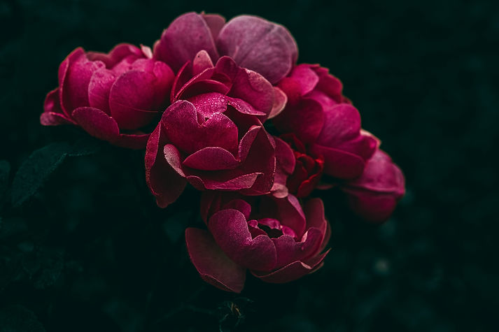 Image by Wyxina Tresse