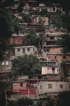 Image by José Matute