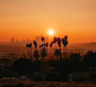 Image by Chris Saran