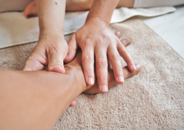 Volubilis Area, Volubilis Paris, Tapovan, Bertrand Lisbonis masseur ayurvédique