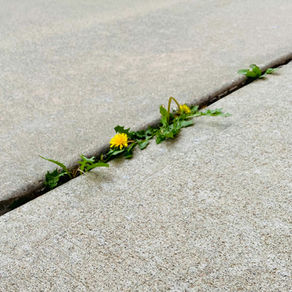 Resiliency - How are you not Broken?