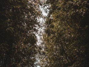 USDA USFS Landowner Resources