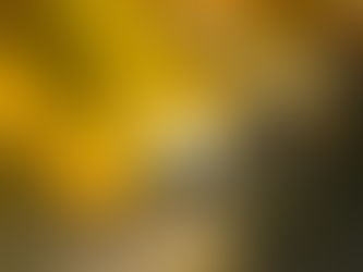 Latinx Best Seller List – November 2023