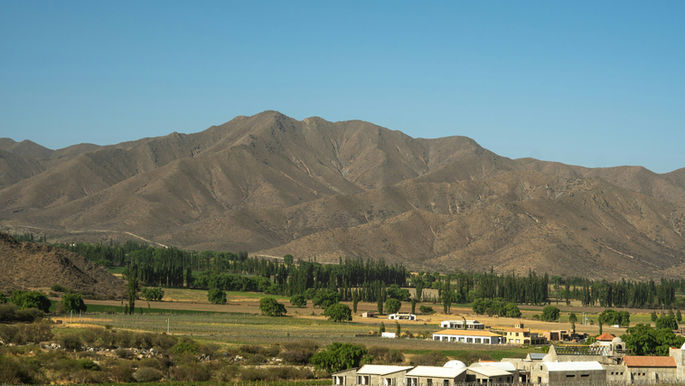 Mendoza Malbec vineyards with Aconcagua mountains backdrop, golden hour light, luxury wine tourism