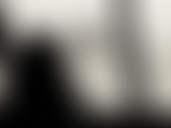 Recommended practices in case of stowaways.