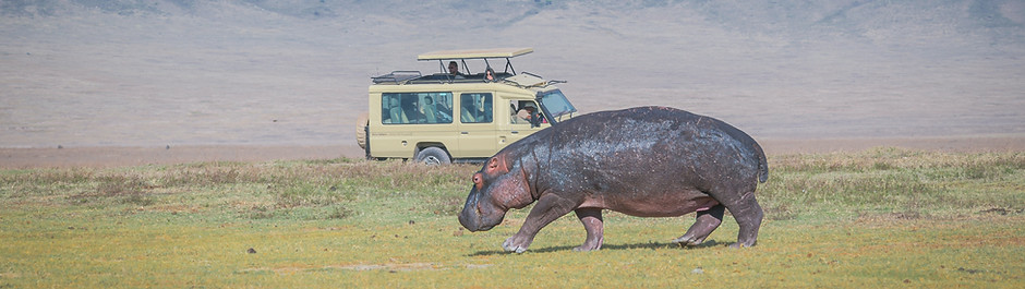 Image by Samwel Nsyuka