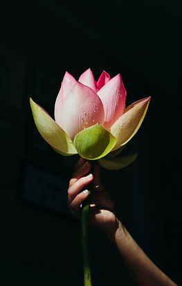 Image by Olia Nayda