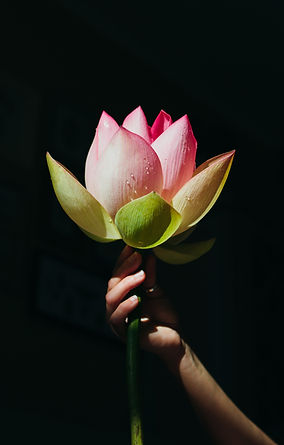 Image by Olga Nayda