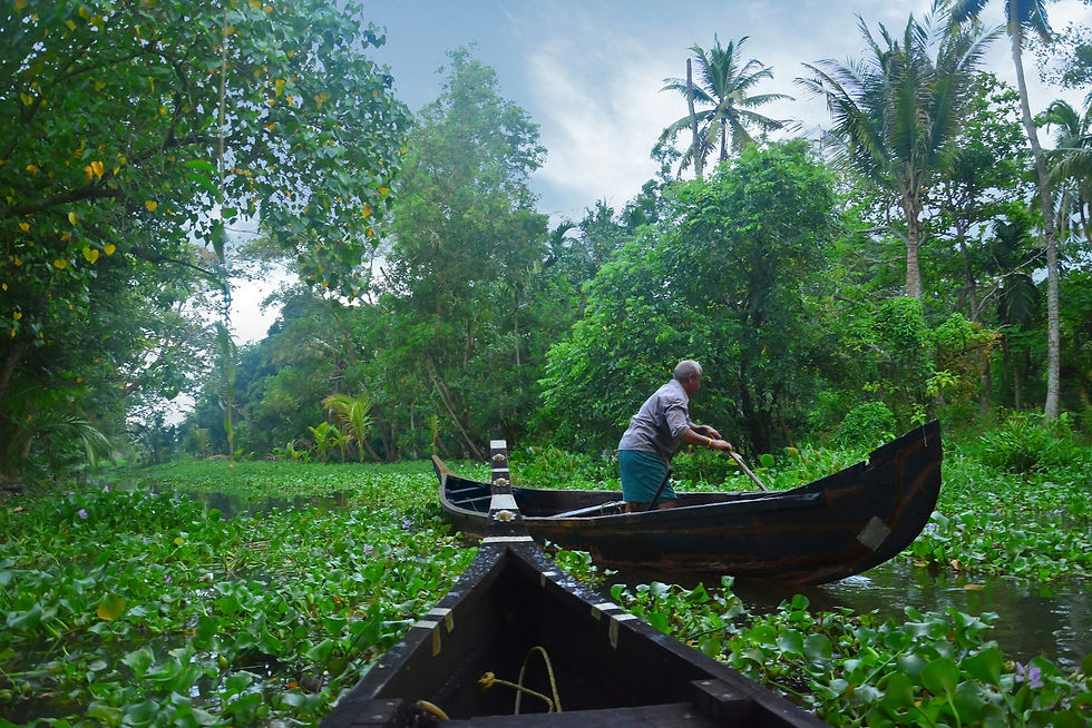 Alapphuza Backwaters