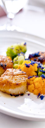 Image by Connie Perez