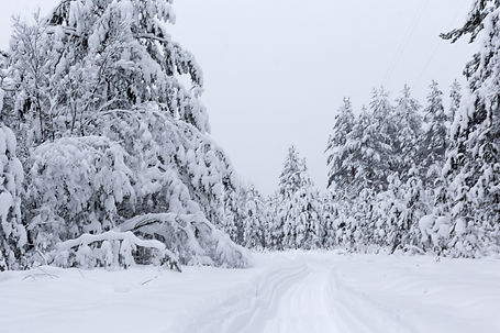 snow