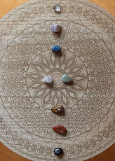 Image by Susanna Marsiglia