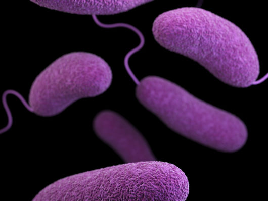 Infezioni delle Vie Urinarie (IVU): Dalla Causa alla Cura