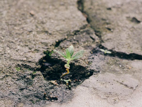 A diverse startup team working on sustainable cement innovation.