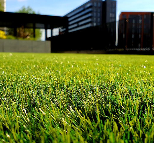 Landscaping and lawn mowing Gadsden AL