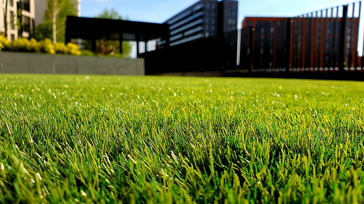Lawn Maintenance Company Forney TX