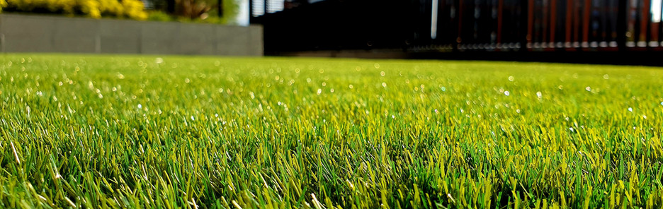 Image by Petar Tonchev