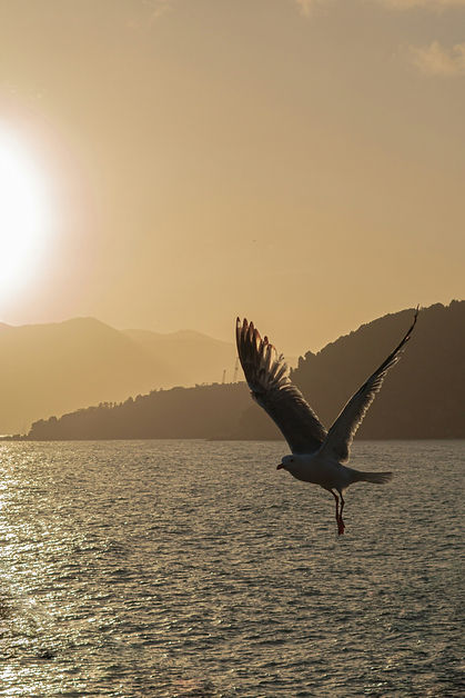 Image by Ida Rosemann