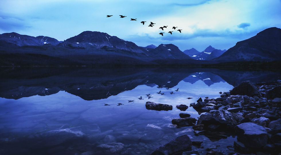 Image by Joshua Woroniecki