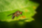 Image de Erik Karits