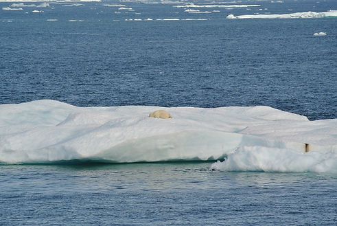 Image by NOAA