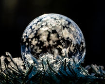 Image by Skyler Ewing