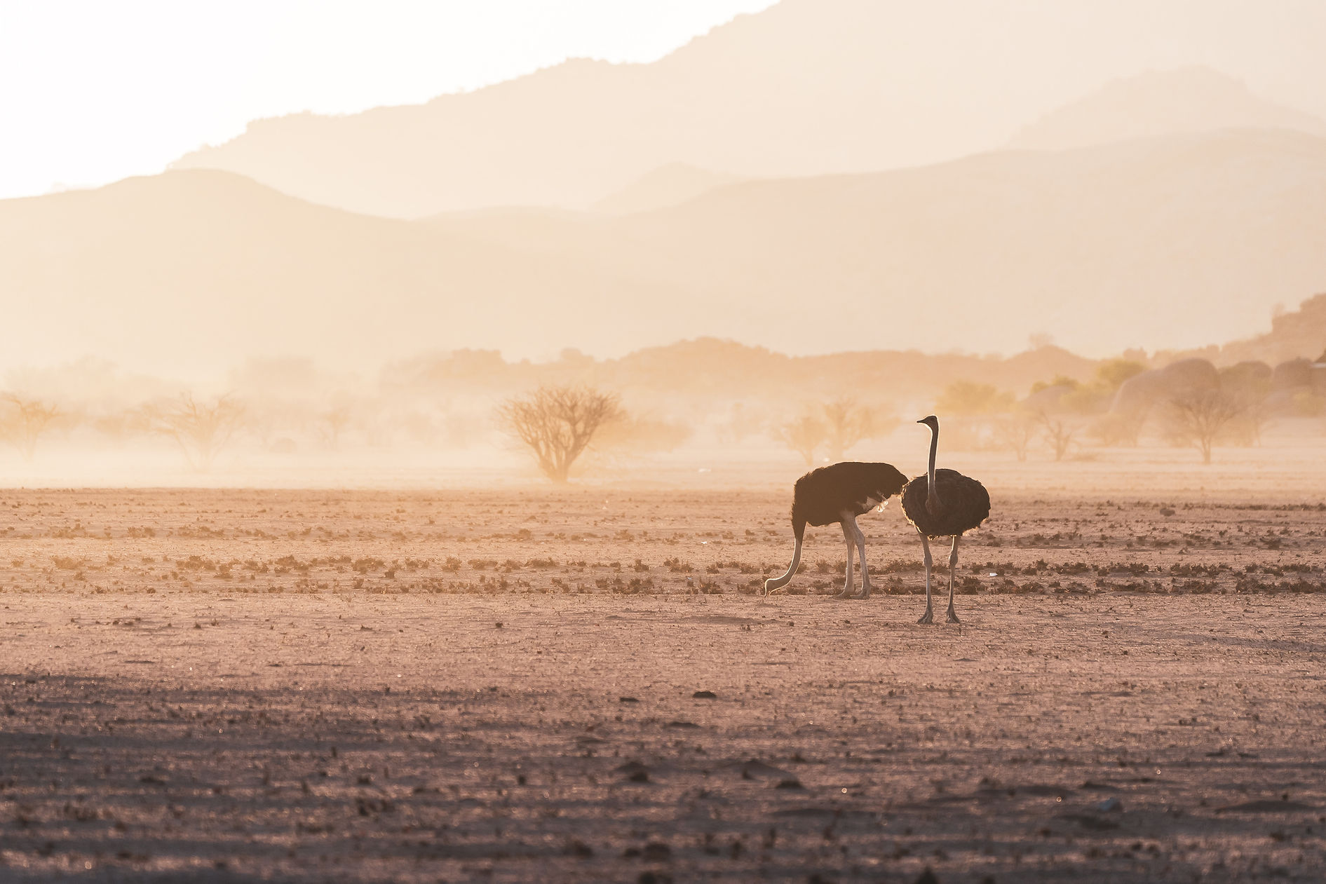 Image by Eelco Böhtlingk