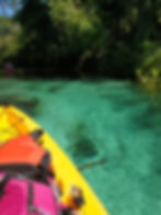 florida springs