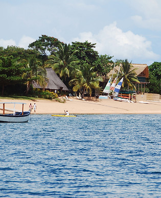 Image by Maria Zardoya