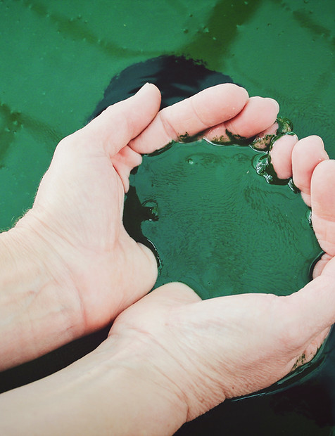 Image by Vita Marija Murenaite