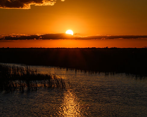 Image by Richard Sagredo