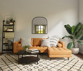 Living room with a carpet, couch, table and plant