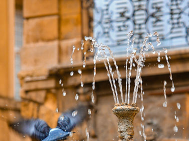 Image de Guillaume Armand