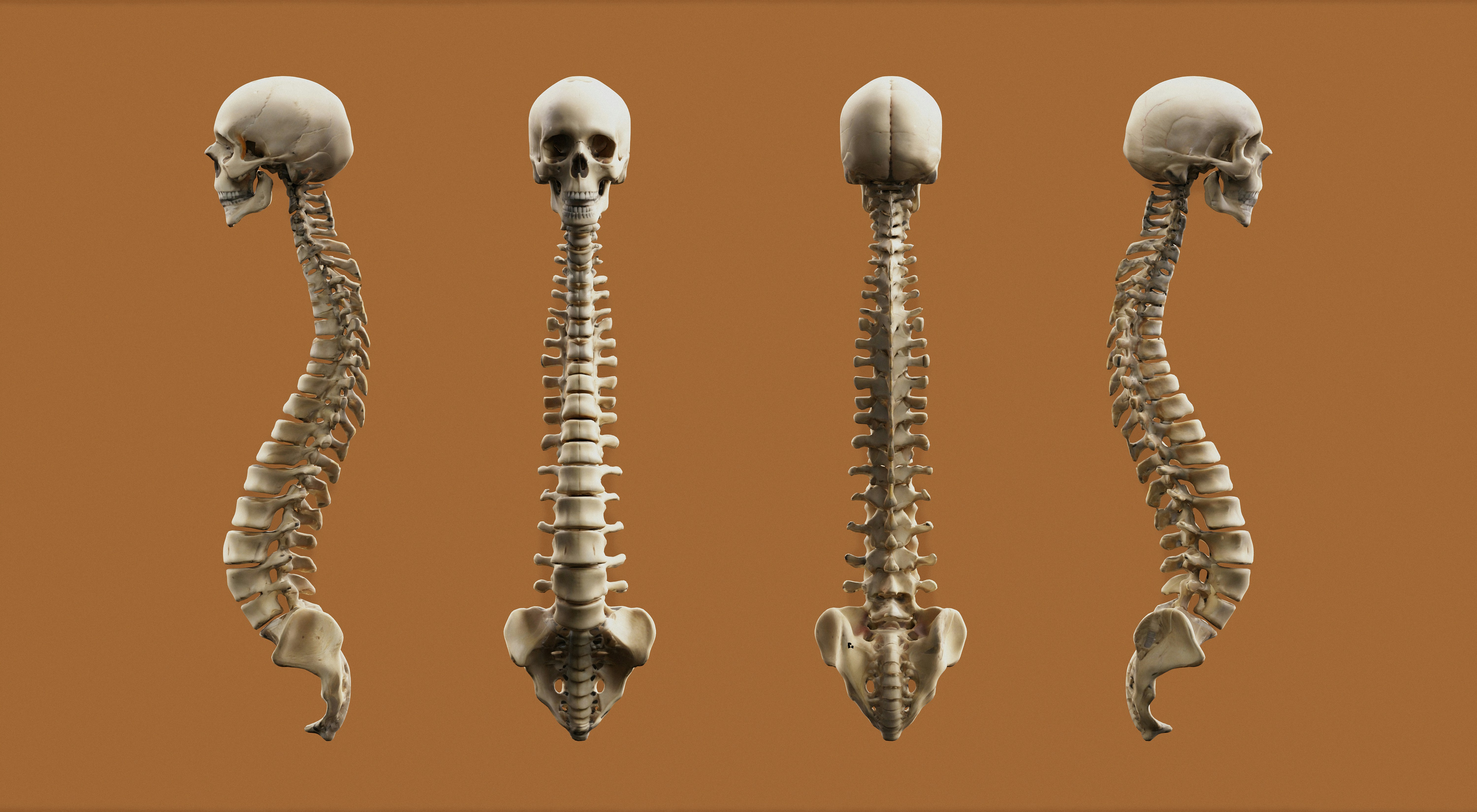 Original cover: Osteopathic Principles and Practice 101