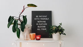 How to Build Habits That Make Sustainable Living Easy