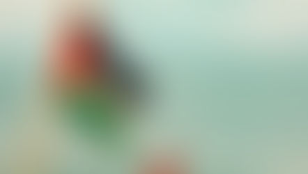 Palestinian flag