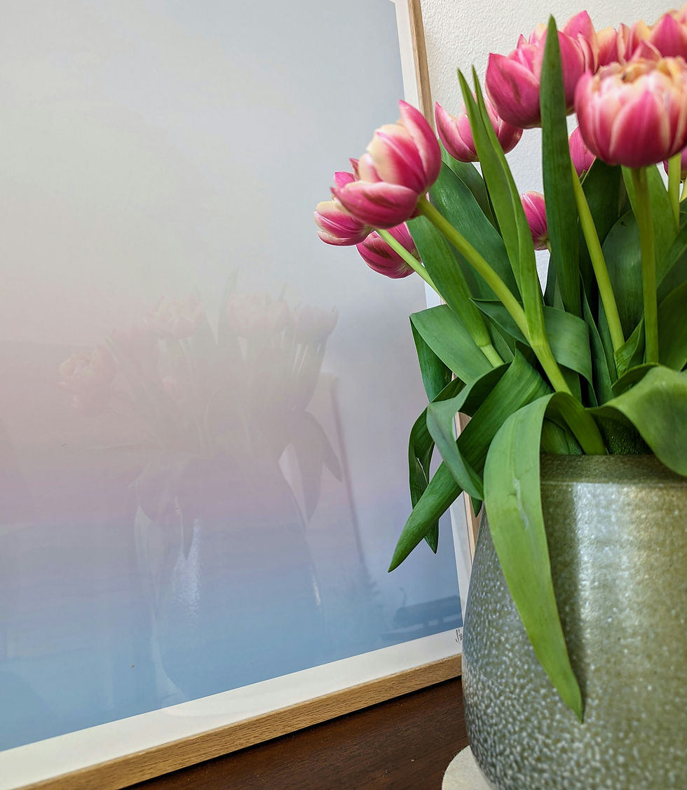 window privacy films