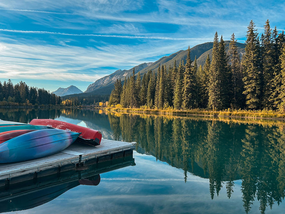 Image by Bryson Ostepchuk