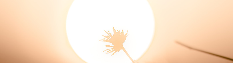 Image de Mathieu Bigard