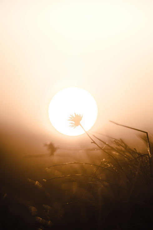 Image by Mathieu Bigard