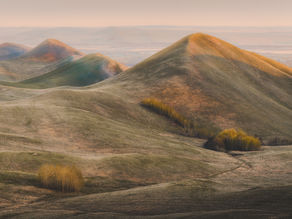 The Hills