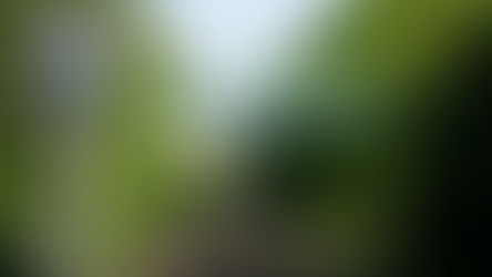 Reopening Leamside Line could provide new train links for 100,000