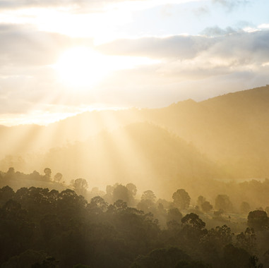 Image by Matt Palmer