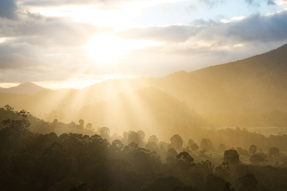 Image by Matt Palmer